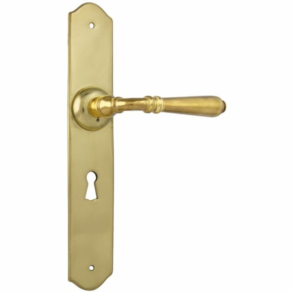 Reims lever on traditional lever locking decorative Plate