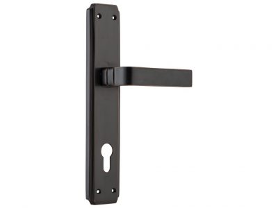 Rotterdam Lever on Longplate with Integrated Privacy