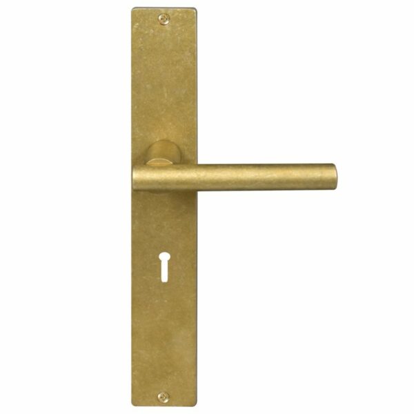 Windsor Charleston Lever On Plate 5 Lever Keyhole