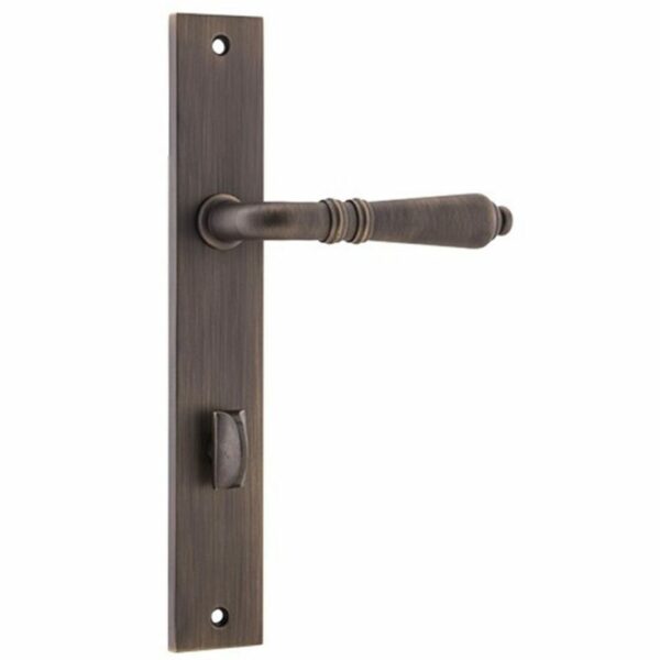 Iver Sarlat Privacy Levers On Rectangular Long Plate