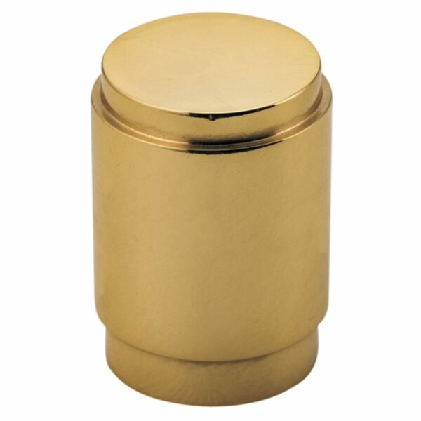 Bankston Berlin Polished Brass 20mm Round Cabinet Knob