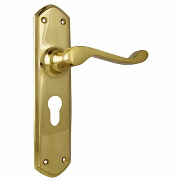 Tradco Windsor Lever On Euro locking Plate