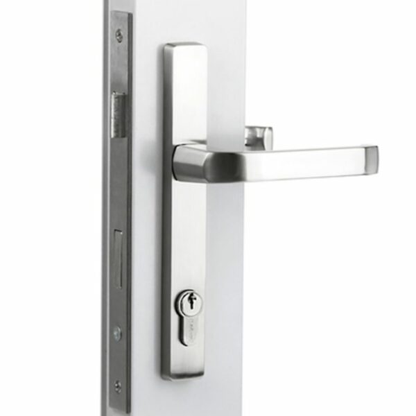 Sylvan Leo Lever Handles On 202mm Long Plate with Iseo 741 30mm lock