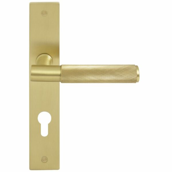 Windsor Brass Nido Verge Lever On Long Plate Euro 85mm