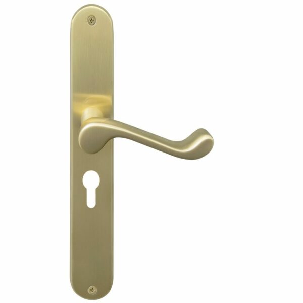 Windsor Ascot 48mm Euro Lock On 236 x 37mm Plate