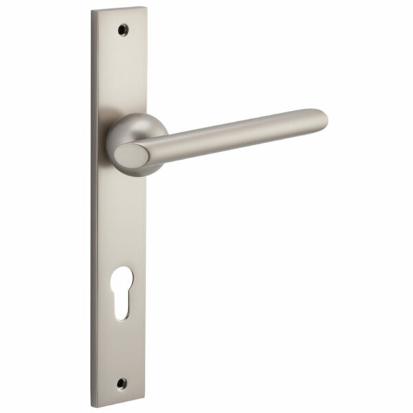 Bankston Futurismo Smooth Nickel Locking Handle On Rectangular Plate