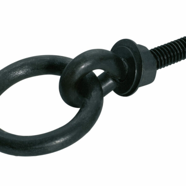 Tradco Iron Ring Pull Bolt