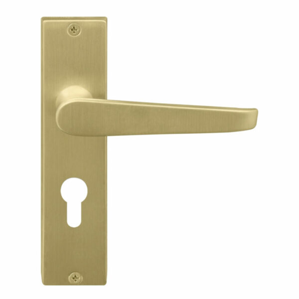 Windsor 7011 Lever On Euro Keyhole Plate