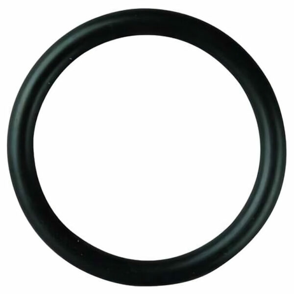 Schlage Form Series Rose Cap O-Ring