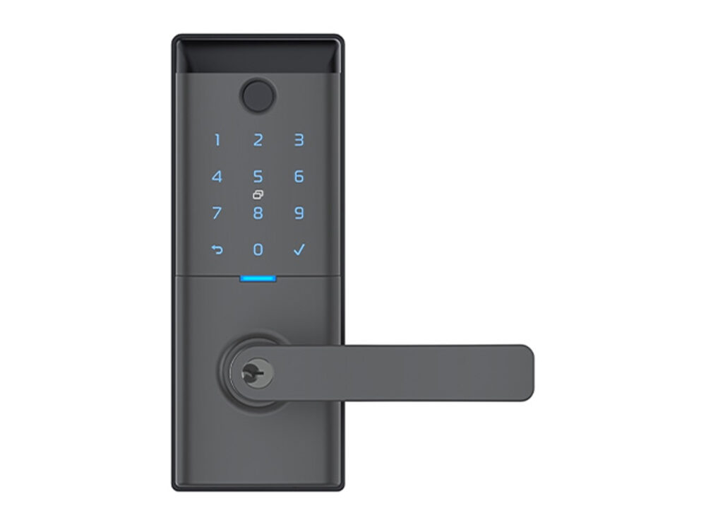 Schlage Ascent Smart Entrance Levers