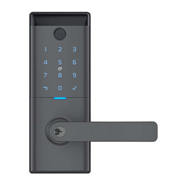Schlage Ascent Smart Entrance Levers
