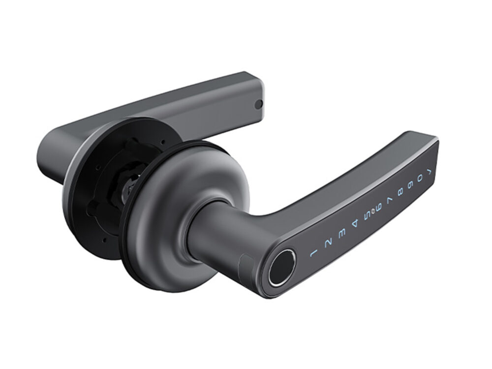 Schlage Ascent Smart Levers