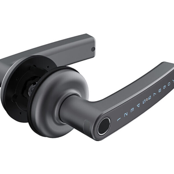 Schlage Ascent Smart Levers