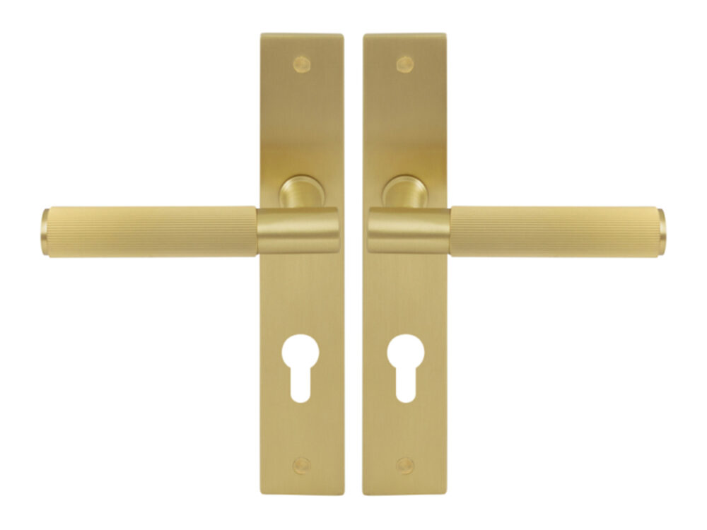 Nido Verge Euro Keyhole Levers On Long Plate - Image 4