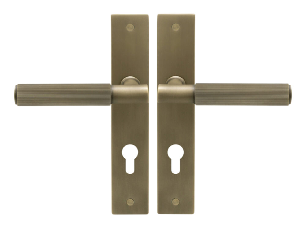 Nido Verge Euro Keyhole Levers On Long Plate