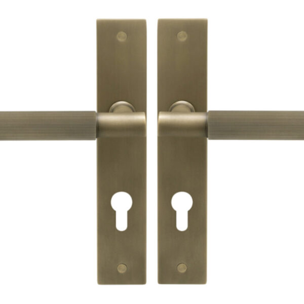 Nido Verge Euro Keyhole Levers On Long Plate