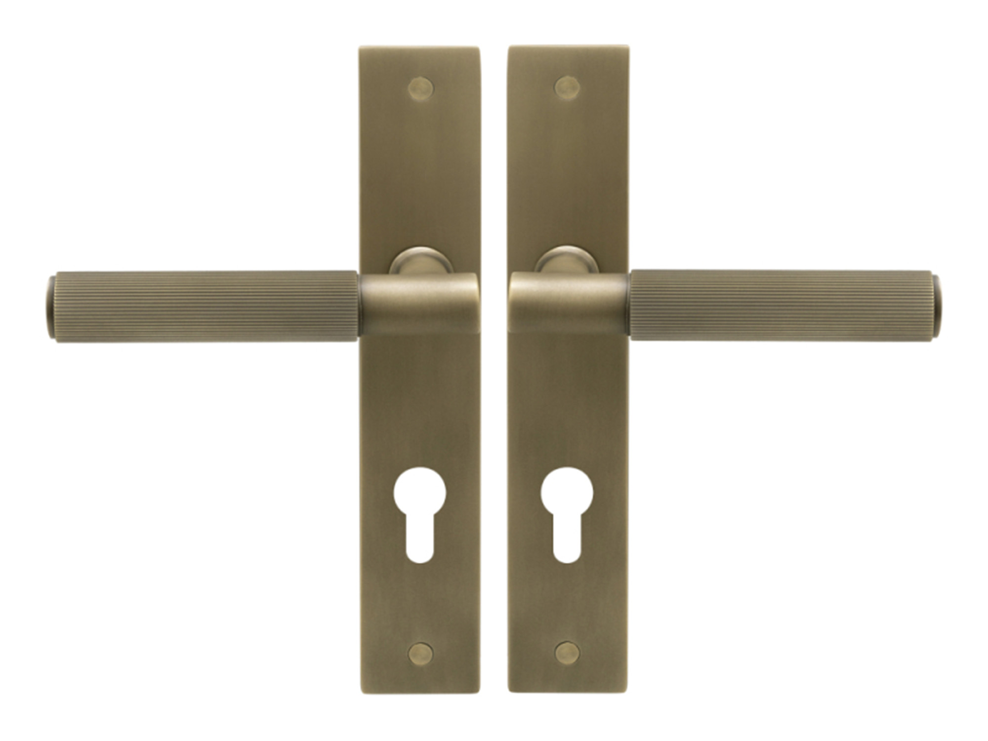 Nido Verge Euro Keyhole Levers On Long Plate